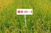 稼禾121-3