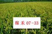 稼禾07-33 