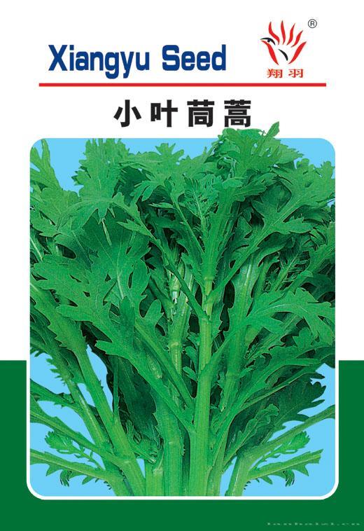 小叶茼蒿——叶菜类
