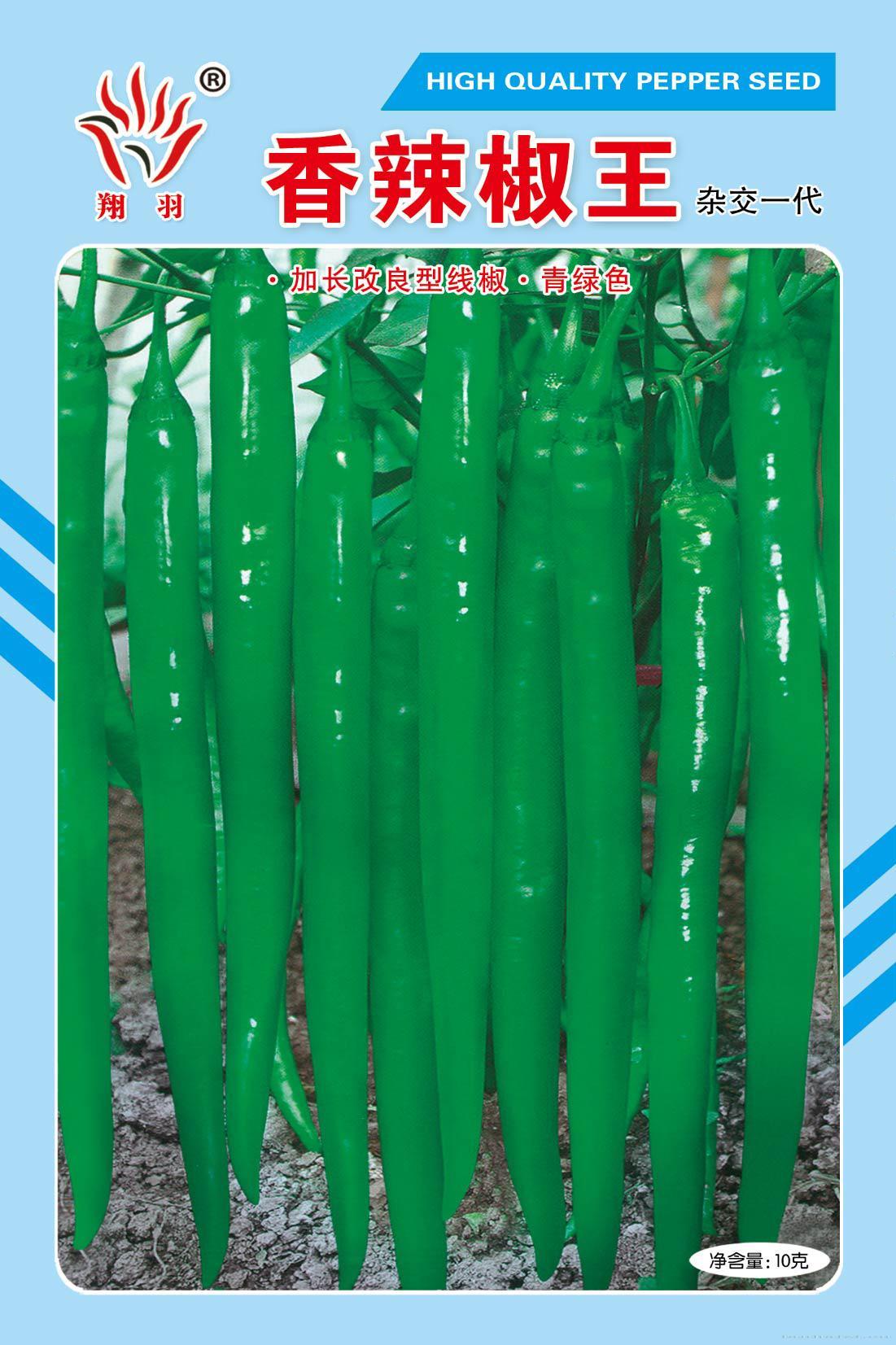 香辣椒王——茄果类