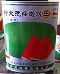 西瓜种子--特大抗病懒汉王