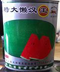 西瓜种子--特大懒汉王