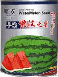 西瓜种子--早熟懒汉之星