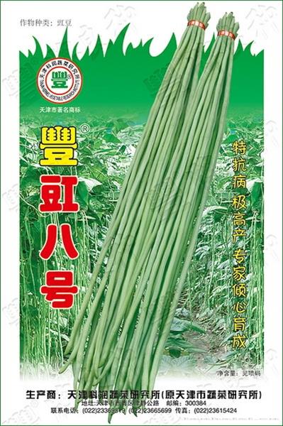 丰豇八号