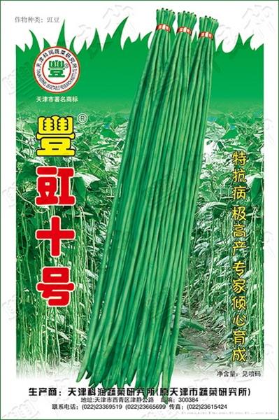 丰豇十号