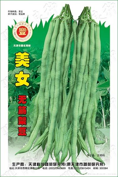 美女无筋架豆