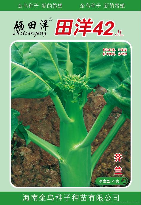 田洋42JL(芥兰)