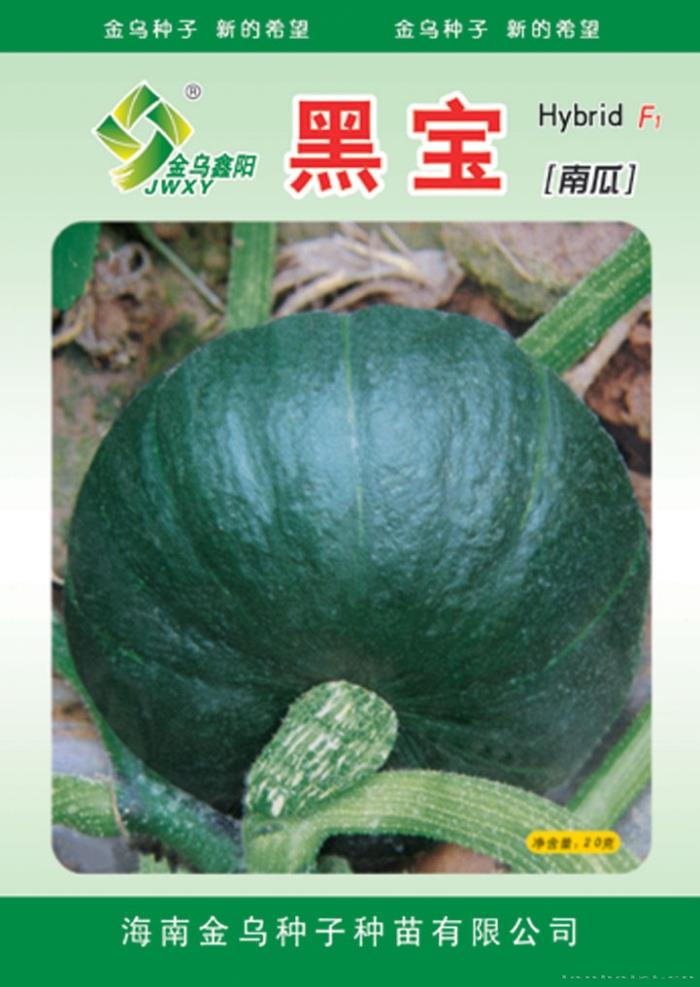 黑宝
