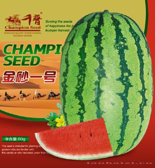 金砂一号