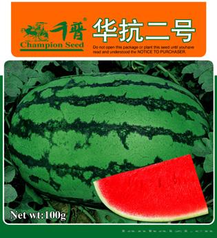 华抗二号