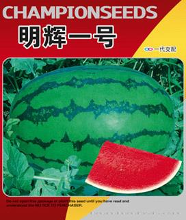明辉一号
