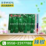 微辣青椒种子