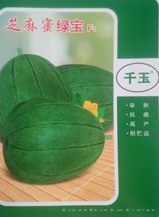 芝麻蜜绿宝