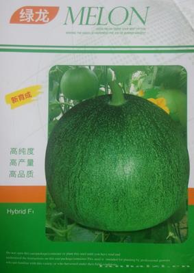 绿龙