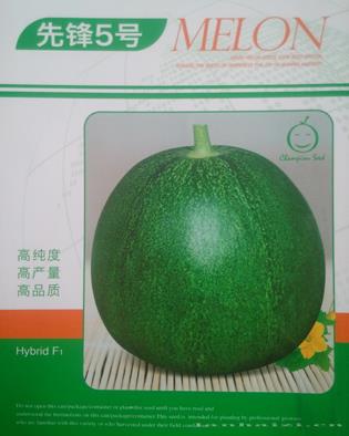 先锋5号