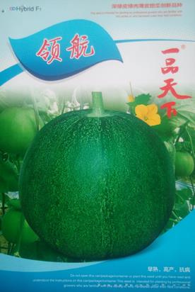 一品天下领航