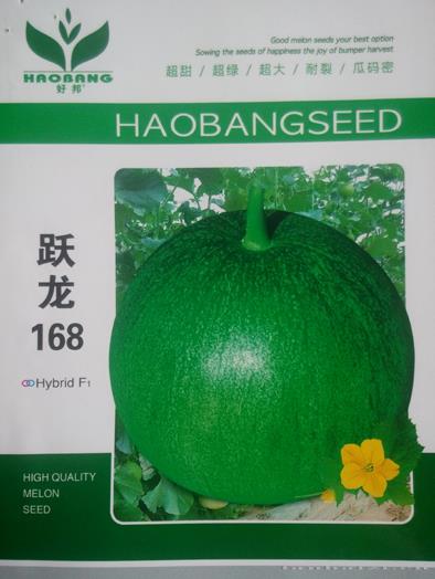 跃龙168