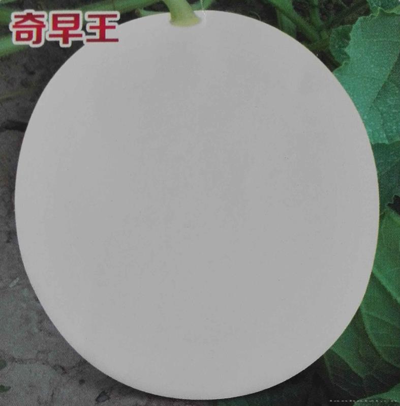奇早王