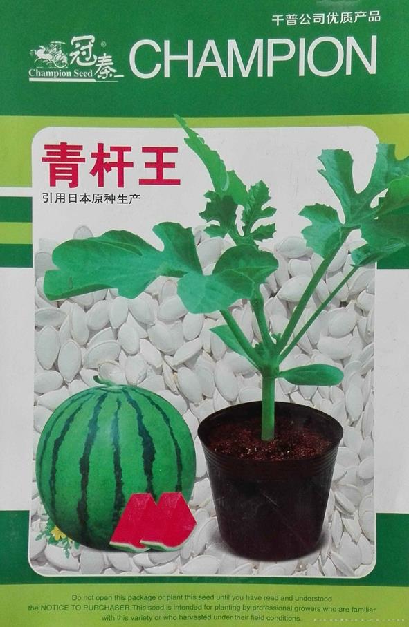青杆王