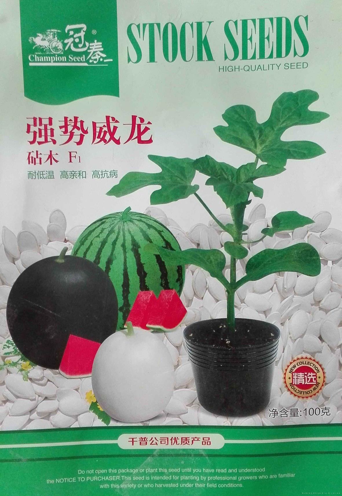 强势威龙