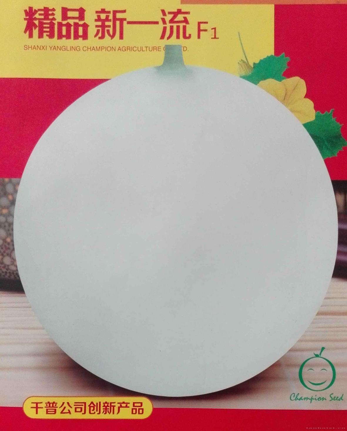 精品新一流