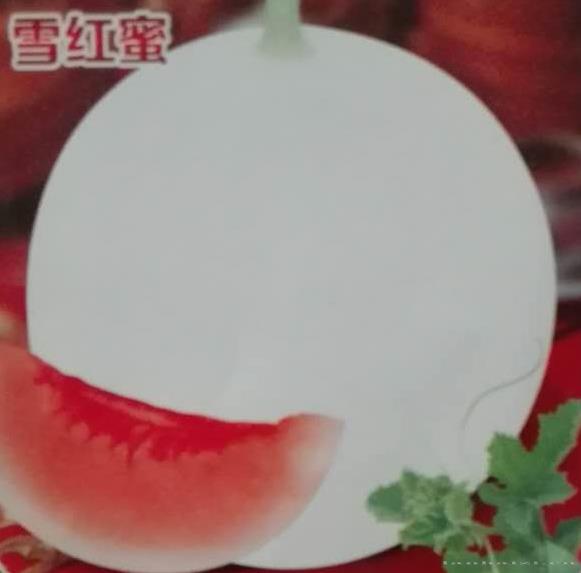 雪红蜜