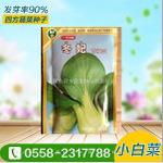 精选小白菜种子