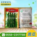 FDZ14-1黄瓜种子