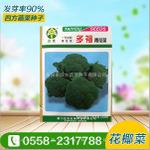 青花菜种子