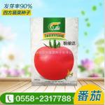 番茄种子