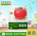 优质番茄种子