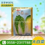 梅锦大白菜种子