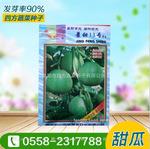 薄皮青色青肉甜瓜景甜13号