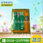 精选津优1号黄瓜种子