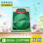 杂交食用甘蓝种子
