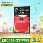 番茄种子