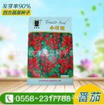  小西红柿蔬菜种子