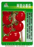 阿曼达番茄——番茄种子