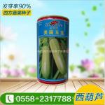 西葫芦种子蔬菜种子