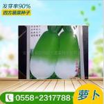 四季青水萝卜蔬菜种子