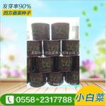悦冬青梗菜种子