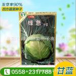  绿急甘蓝种子