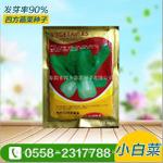 青梗菜种子