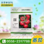 红粉佳丽番茄种子