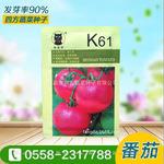 粉红果番茄新品种