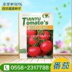 粉钻石番茄种子