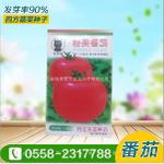 粉美番茄种子