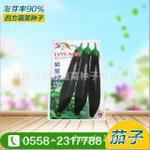 紫金长茄种子