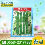 博美1号系列黄瓜种子