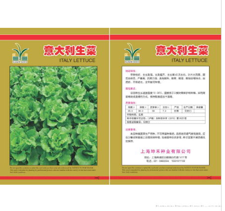v意大利生菜